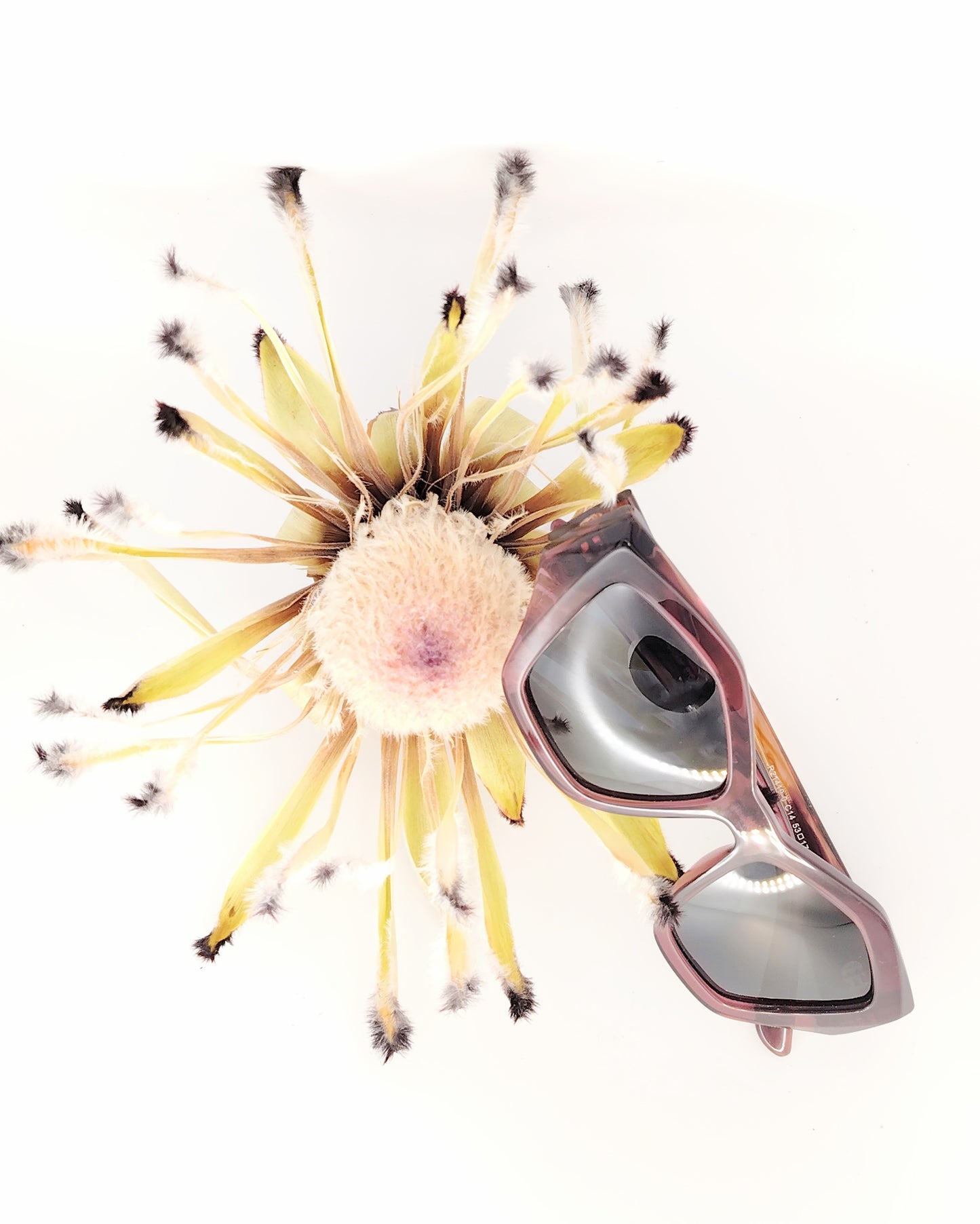 gafas de sol rischio modelo r21419-0 c14 con montura geométrica en acetato degradado burdeos y negro, diseño vanguardista y lentes polarizadas oscuras