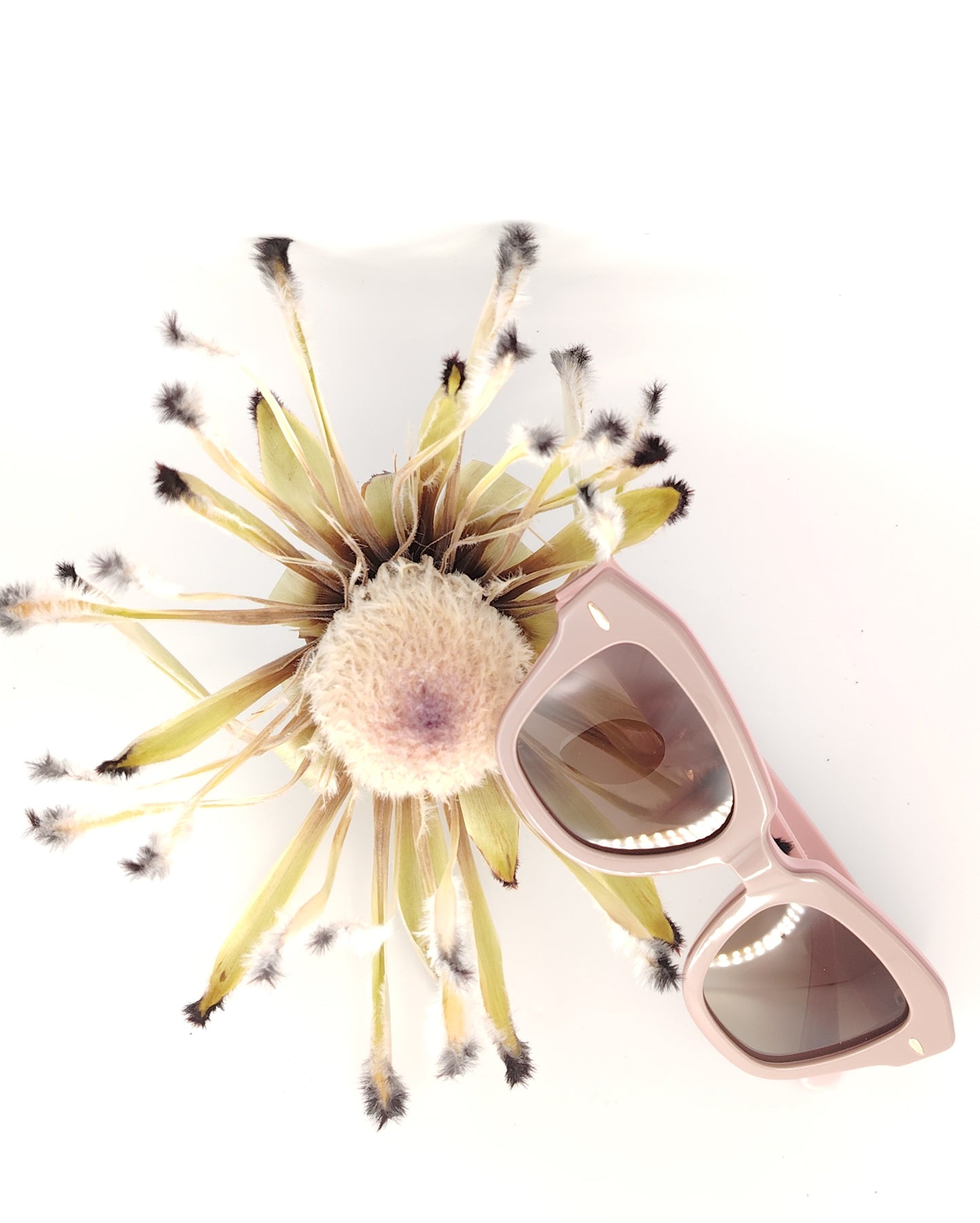 gafas de sol rischio r21423 c11 con montura geométrica en acetato rosa empolvado y lentes marrones degradadas, diseño elegante y femenino