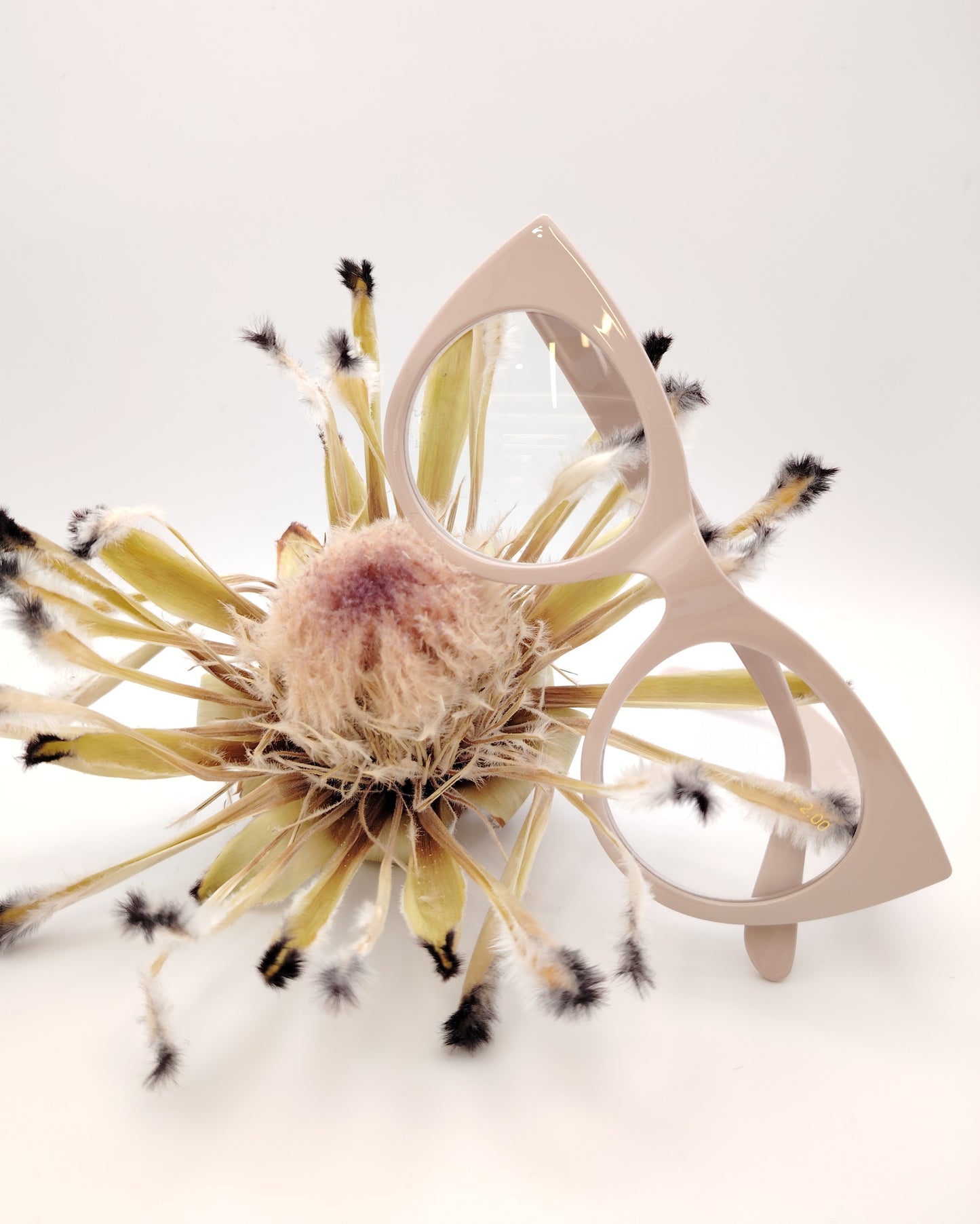 gafas premontadas para presbicia modelo k_eyes_k38-ivory con montura cat-eye en acetato color marfil y diseño atrevido y sofisticado